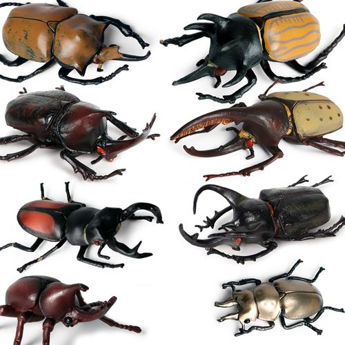 甲虫玩具仿真模型独角仙南洋战神毛象长戟大兜虫锹形昆虫公仔摆件