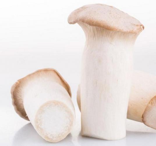 杏鲍菇营养丰富,富含