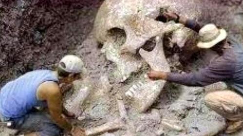 奇闻异事:世界未解之谜之史前巨人,揭秘真实存在的巨人