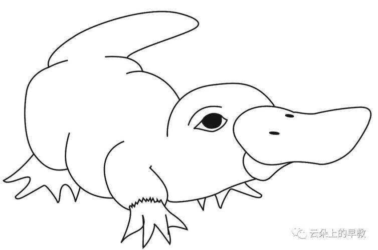 新学期第1周主题:小班 猫cat   大班 鸭嘴兽platypus