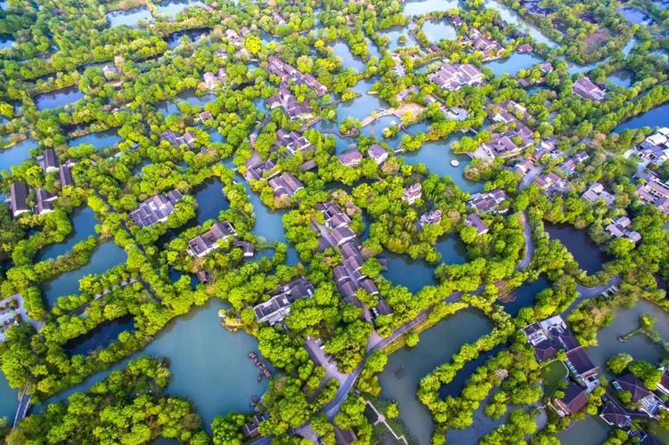 杭州西溪湿地景观