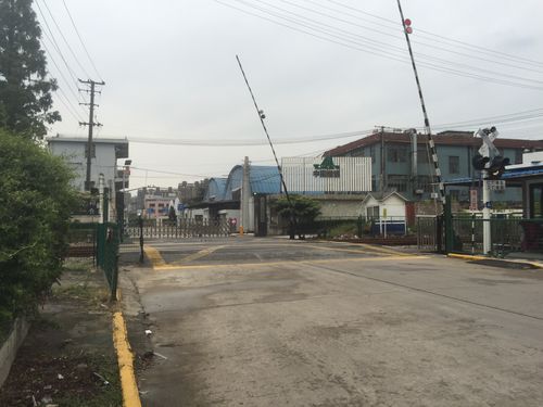 上海南大路道口群探访