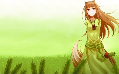 狼与香辛料高清壁纸