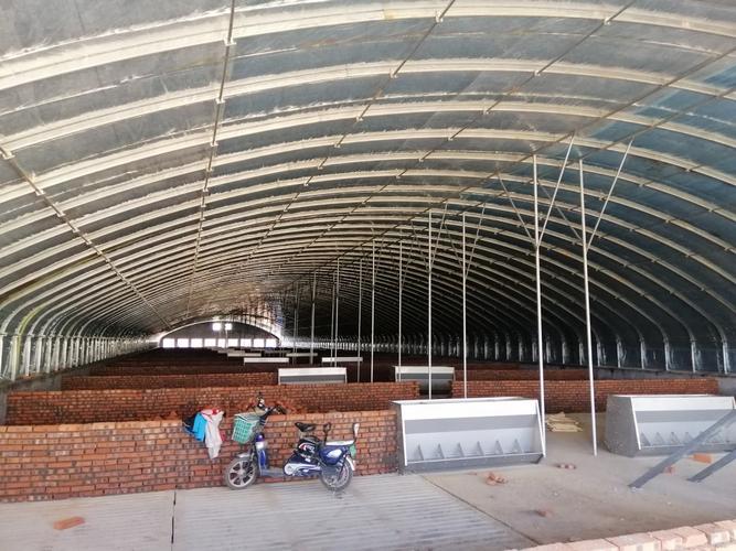 黑龙江厂家直供热镀锌椭圆管蛋鸡养猪养殖大棚