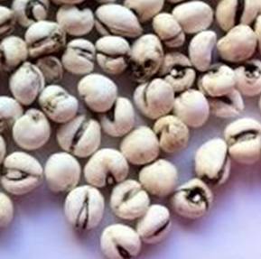 食安民生丨实用!常见中药材真假鉴别(附图)