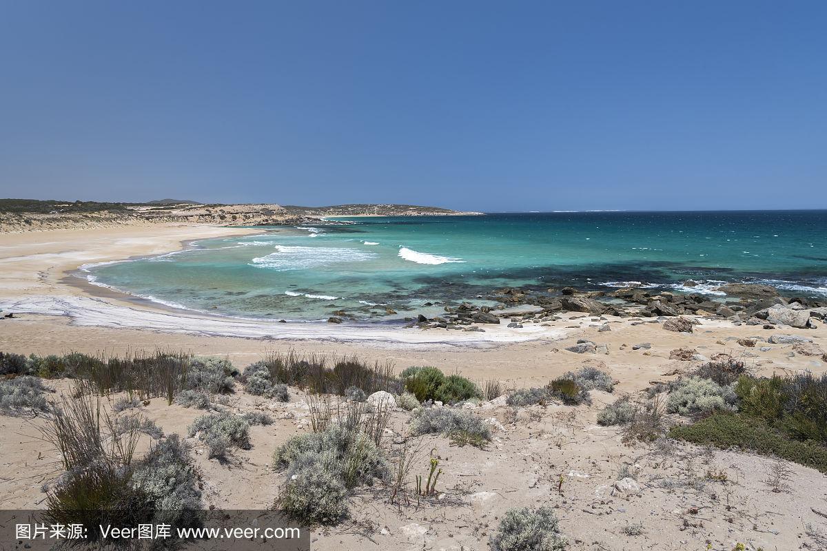 海岸线,野生植物,艾尔半岛,悉尼,南澳大利亚