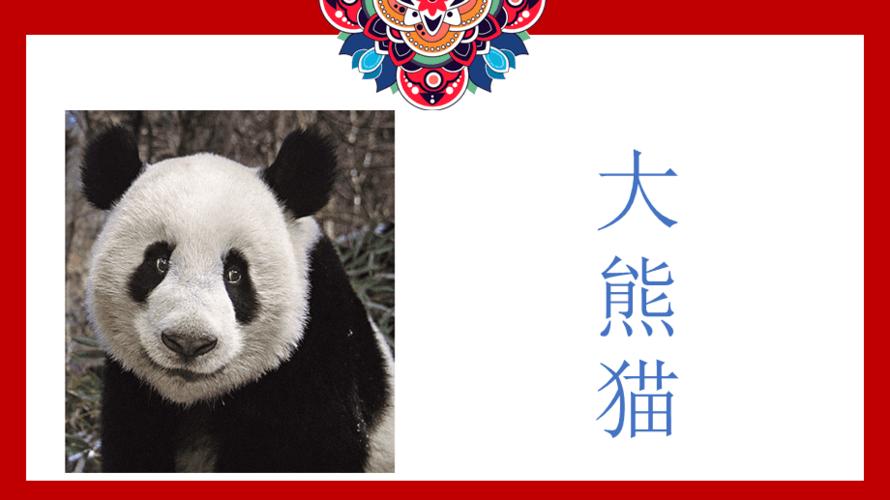 你来比划我猜动物类