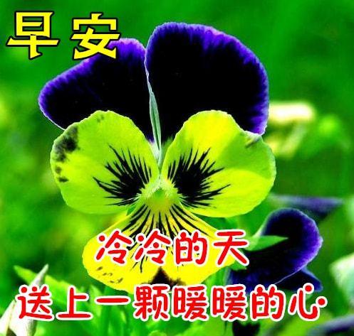 10月13日早上好动态表情图片大全早晨好动图美图大全