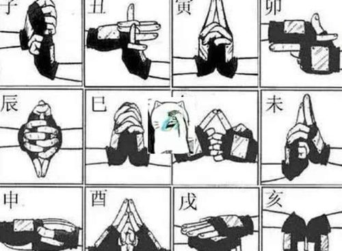 而这个忍术就是水遁,他的结印姿势最多的,可能比起火遁要多上几个