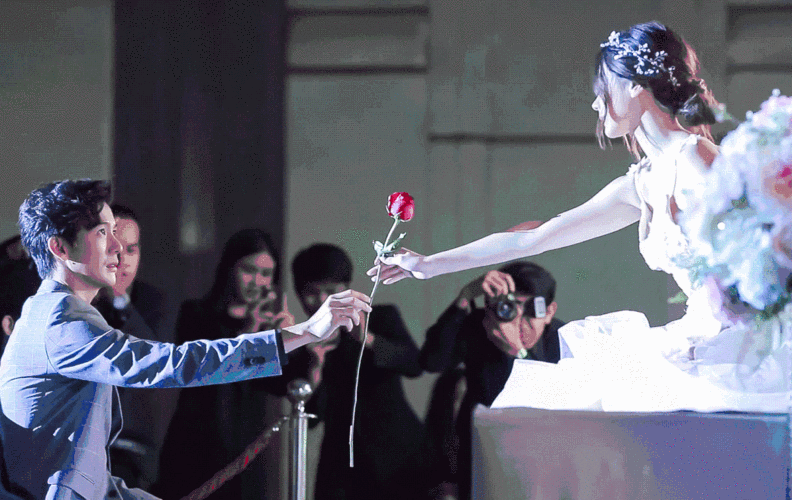 吹落的树叶变性也要扑倒你