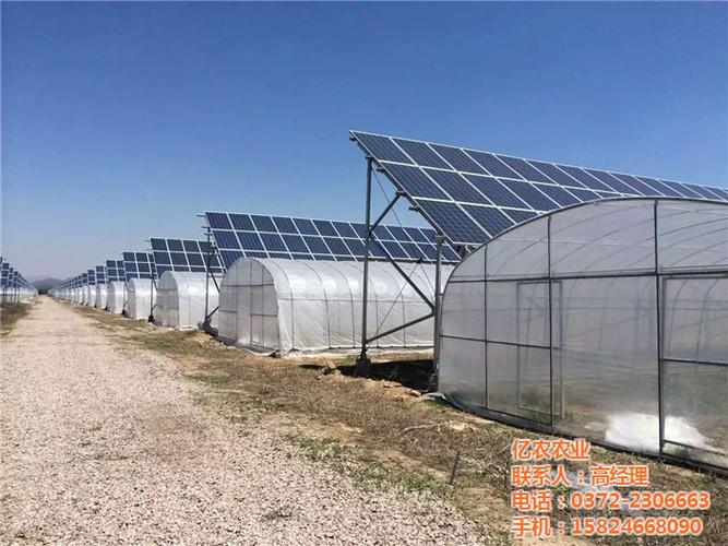 光伏大棚建设,沧州光伏大棚,亿农农业(查看)