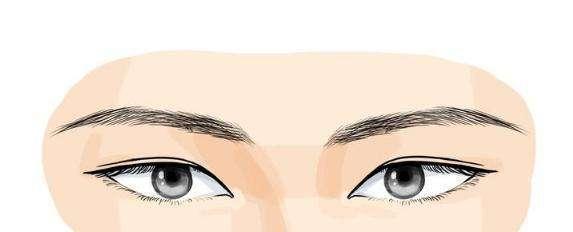 有的人一生能够考中做官宦,那是因为他眉眼生的好,举子一对眉,秀才一