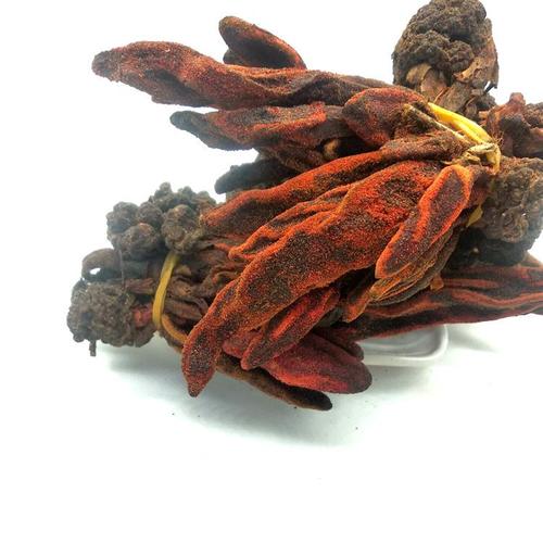 供应草苁蓉 不老草 顶天柱 回春草 草苁茸