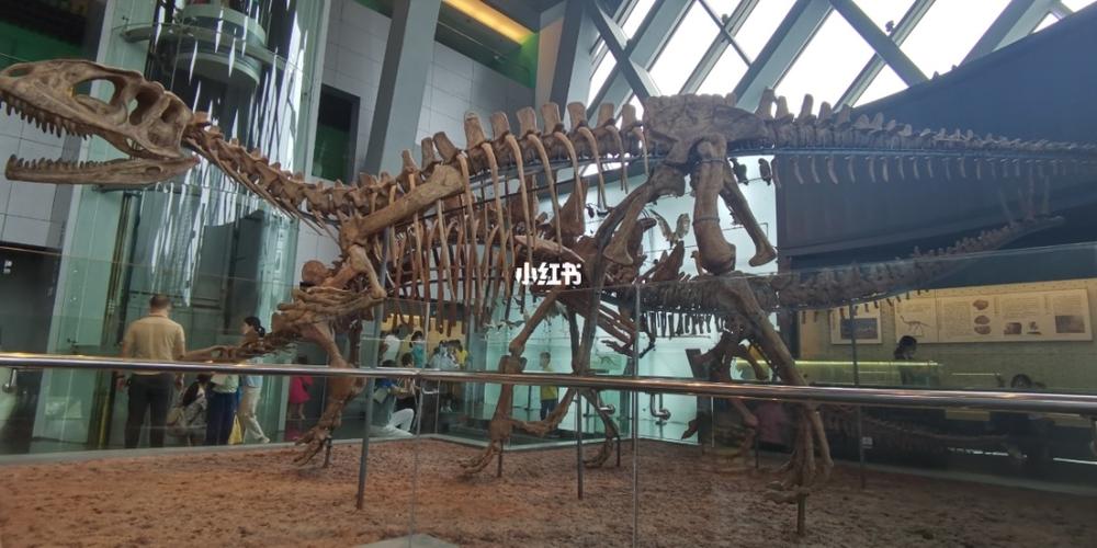 打卡赣州自然博物馆_自然博物馆_恐龙_浩泽怎么样_博物馆_赣州市博物