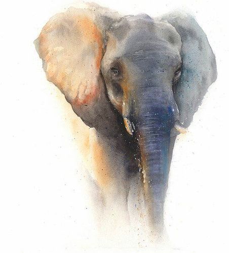 动物水彩肖像画 by eric sweet - 灵感日报 : eric sweet是以为来自