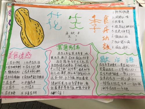 以 花生 为研究主题之手抄报集