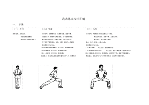 武术基本手型及步法图解.docx 2页