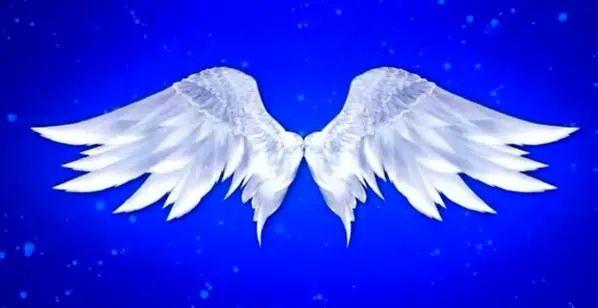 十二星座专属的梦幻翅膀白羊座色彩斑斓处女座个性十足