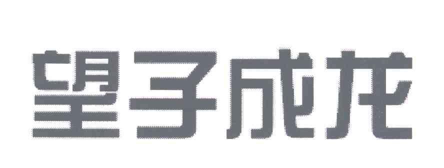 望子成龙