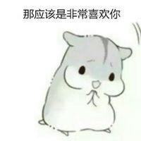 傲娇表情包图片可爱_微信头像图片大全