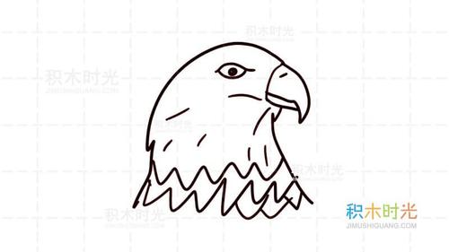 画一只雄鹰特写简笔画