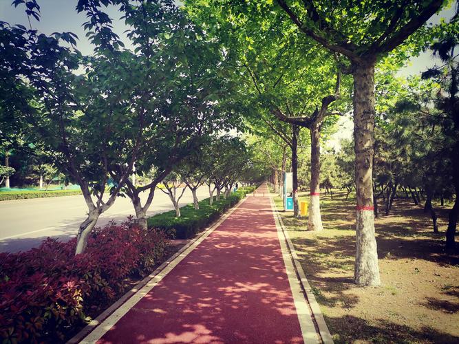 临沂大学校园风景