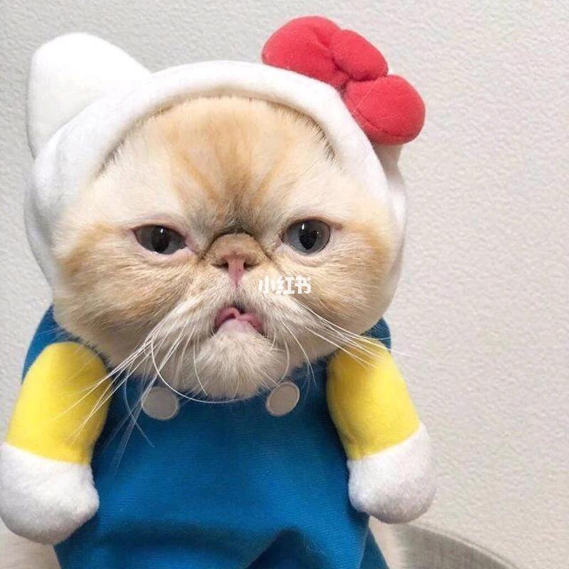 94情侣头像_猫猫_狗狗_头像分享_素材_头像