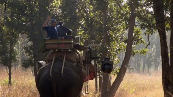 bbc纪录片猎捕动物们已集体成精