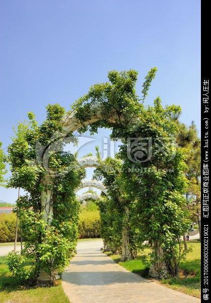 植物廊架
