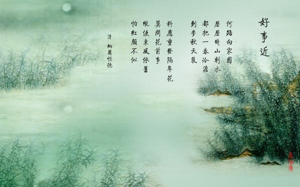一生一代一双人的介绍