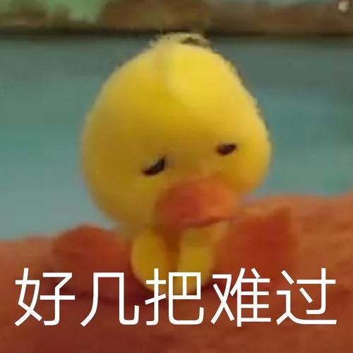 小黄鸭表情包