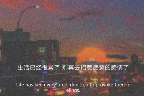 生活已经很累了,别再去招惹疲惫的感情了