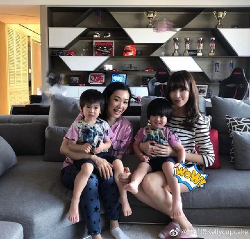 钟丽缇陈若仪同框 两人抱着小孩关系融洽 画面十分有爱