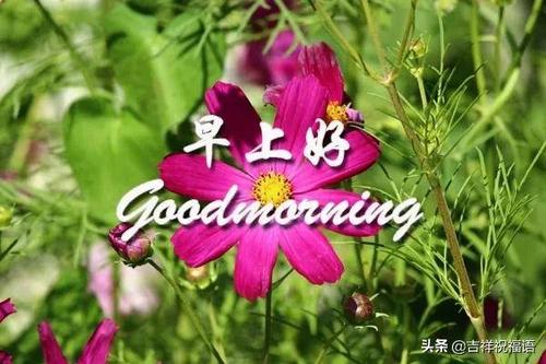 二月初一早上好祝福语图片带字带祝福语 问候亲友短信