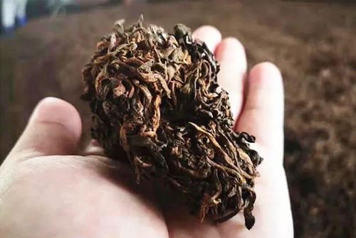 一篇文章读懂:什么是普洱茶老茶头,它是怎么形成的,老