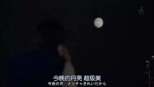 今晚月亮真美.