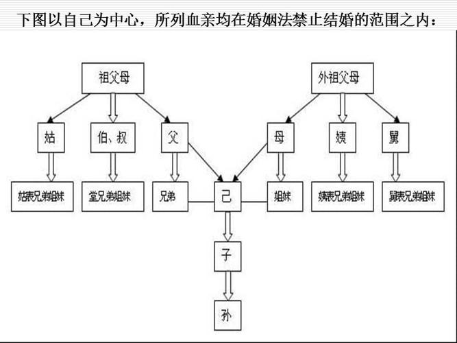 直系血亲和三代以内旁系.ppt