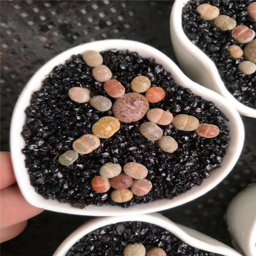 多肉植物生石花组合拼图 生石花大闸蟹 蜻蜓造型屁屁花连盆土发货