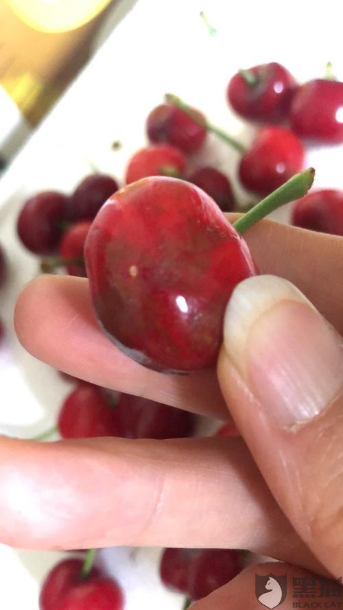 黑猫投诉顺丰空运寄大樱桃到件货物损坏不赔偿