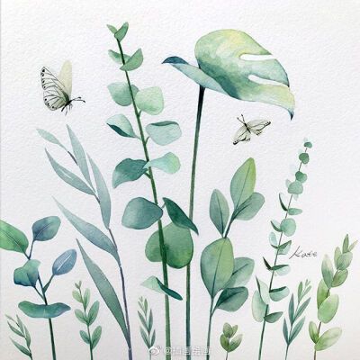 小清新水彩花卉绿植 插画师:kate kyehyun park