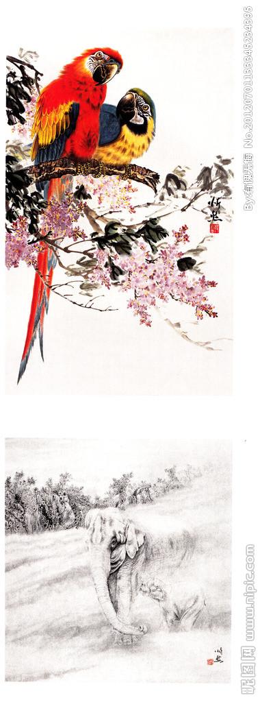 鹦鹉国画图片