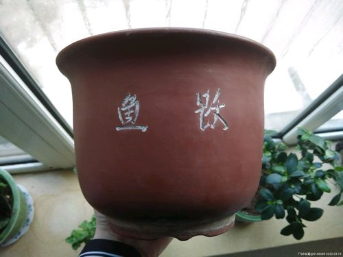 文革时期六七十年代老宜兴紫砂花盆老紫砂花盆紫砂花盆鲤鱼图鱼跃题材