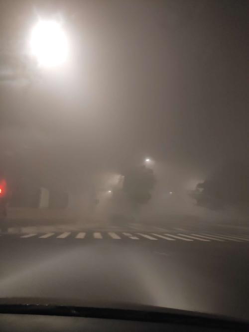 大年三十早上五点起床赶火车,赶上大雾天,能见度就十米吧