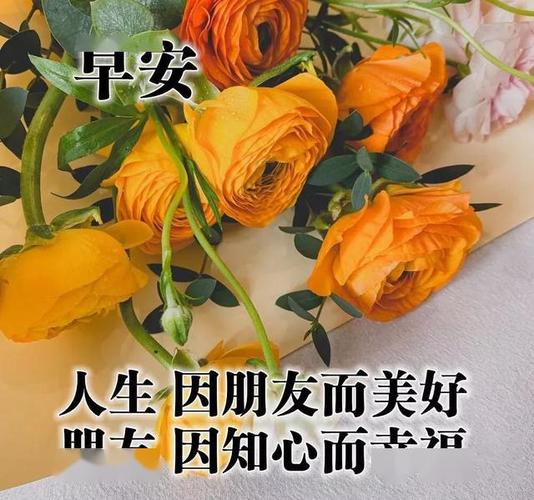 微信早上好图片表情祝福 星期天最新版早安问候语阳光