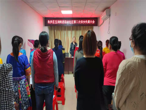 玉洞街道亮岭社区召开第二次妇女代表大会