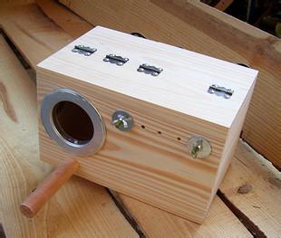 黄桃鹦鹉为什么只繁殖不抱窝