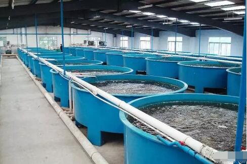 水产养殖业生产方式向工业化转变