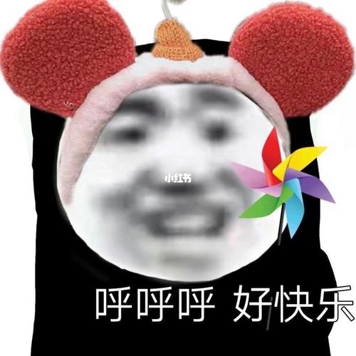 搞笑熊猫头 也许吧 美貌总让人孤独_孤独_搞笑_熊猫_表情包_我最爱的