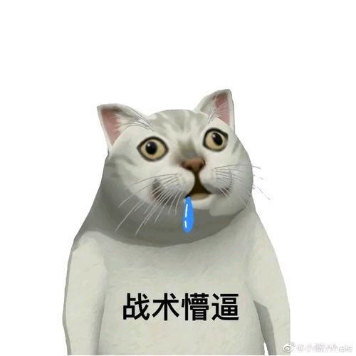 表情包|奇怪的表情包增加了