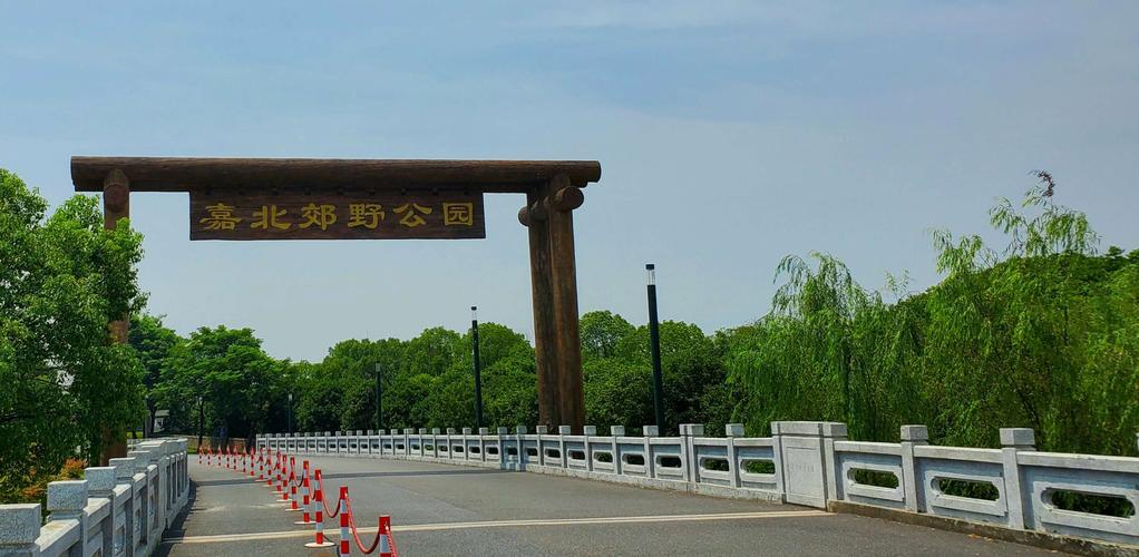 2020游嘉北郊野公园赏妖艳之～荷花